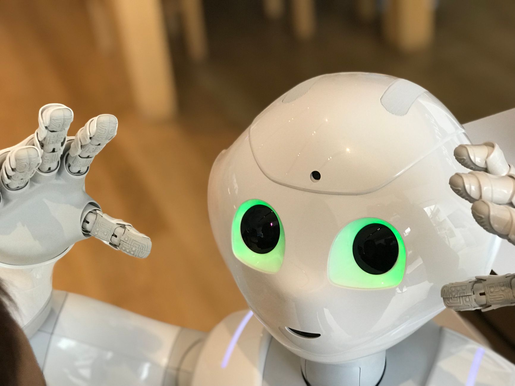 Jaipur Robotics funding