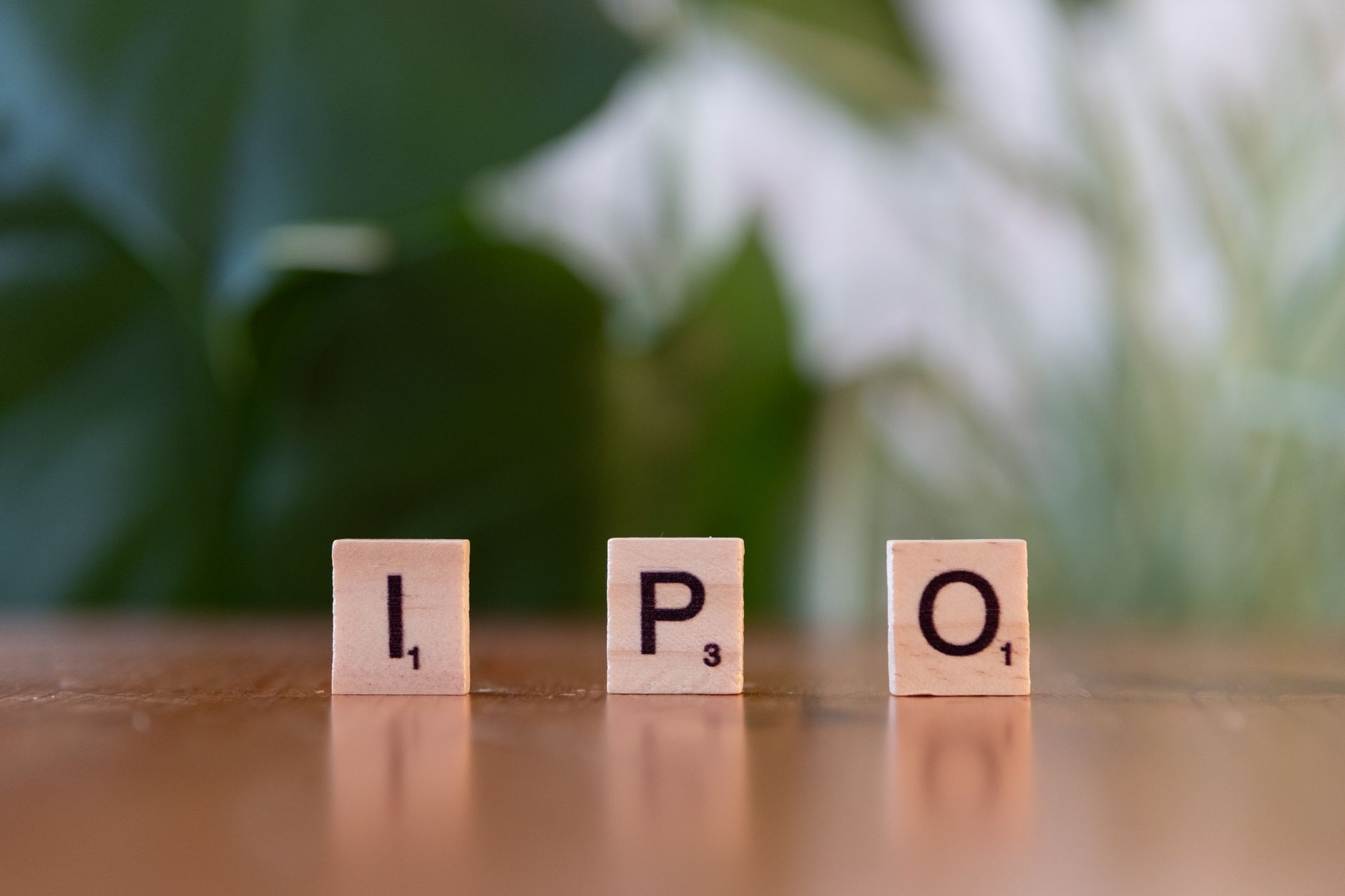 recent IPO earnings