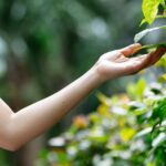 Gardens Interactive funding
