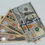 Japan India FDI