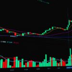 Wipro profit falls